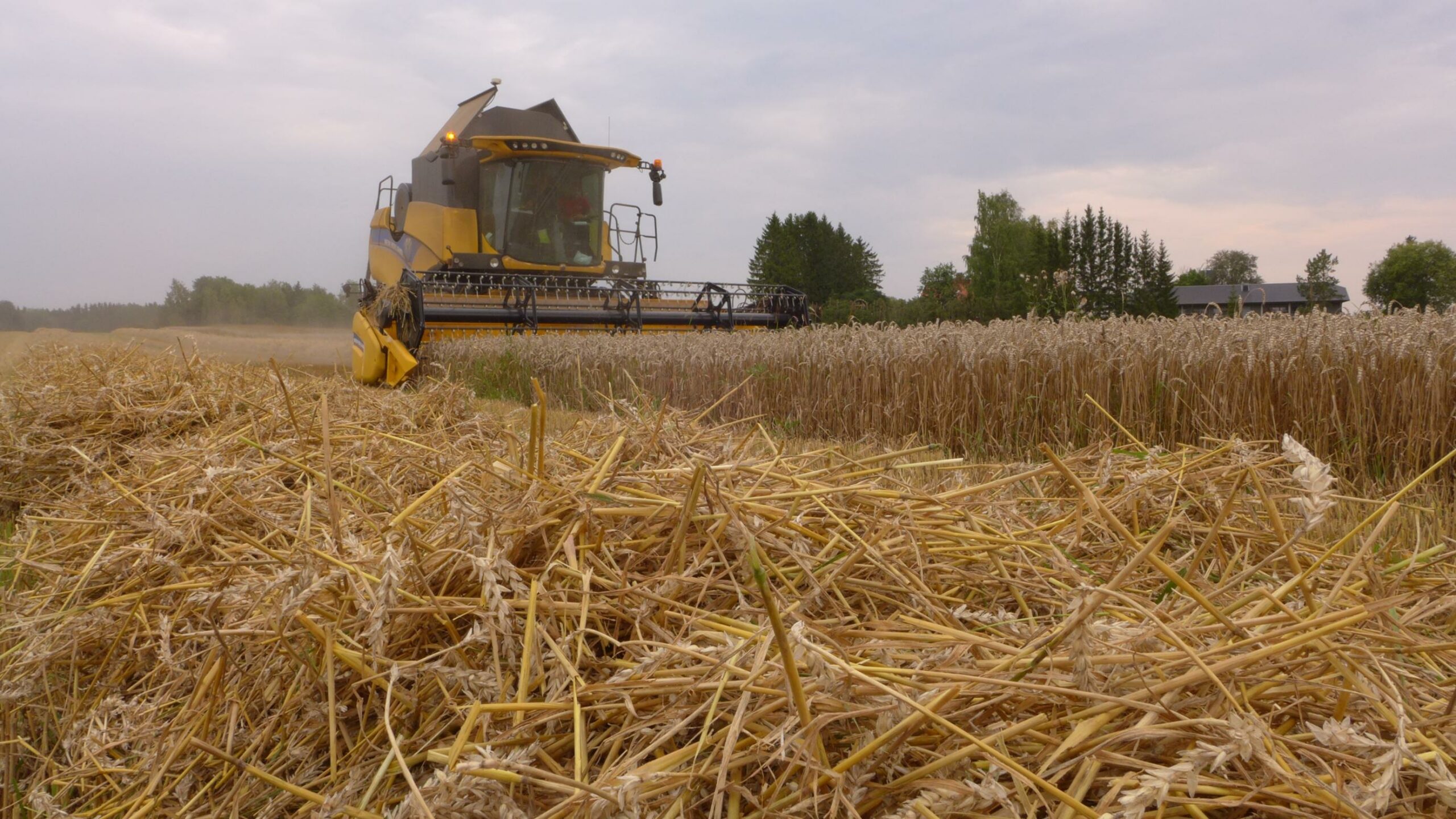 Introducing an ExpandFibre Ecosystem project: Smart storage and supply of straw coordinated by RISE